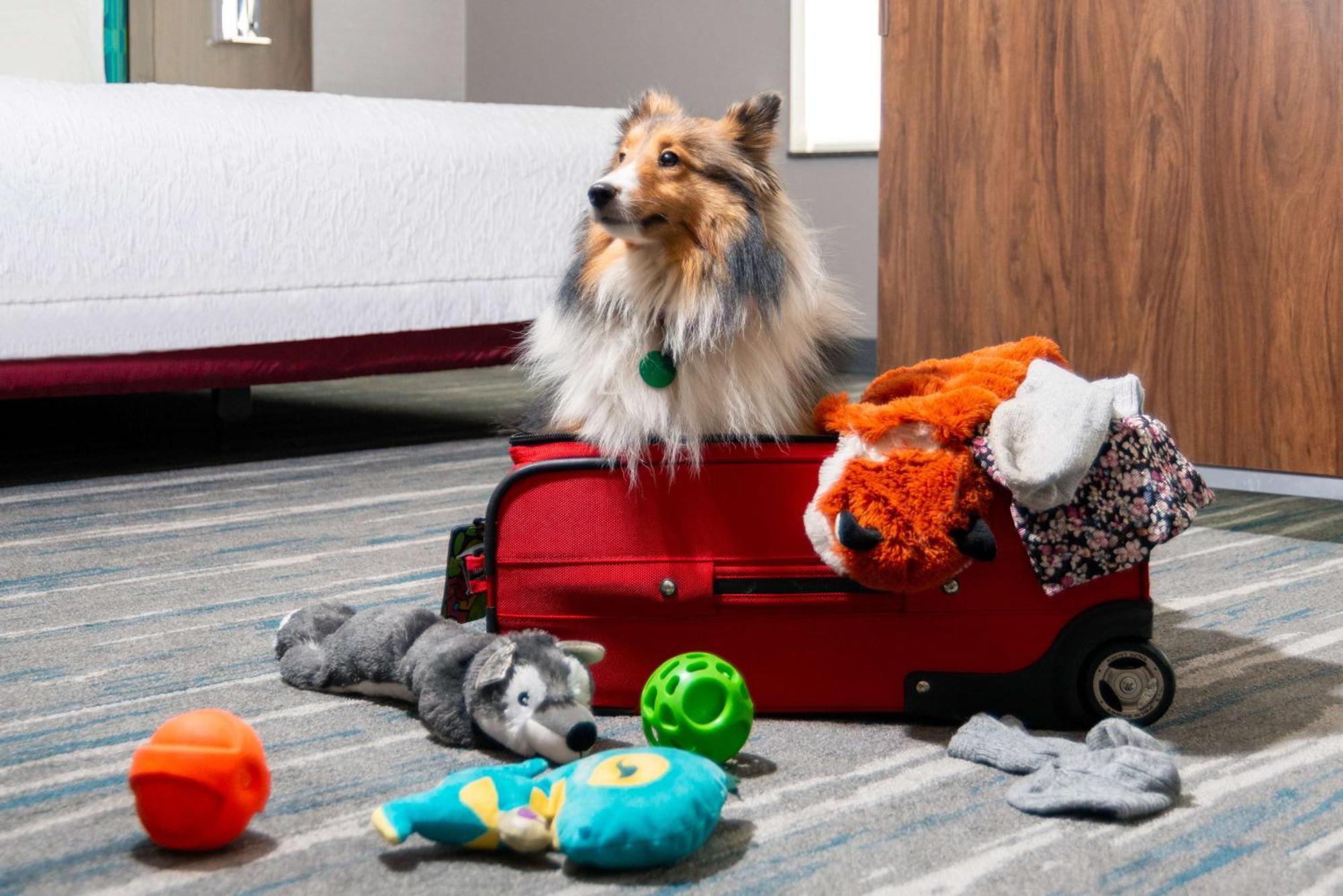 Hampton Inn And Suites Hartford/Фармингтън Екстериор снимка